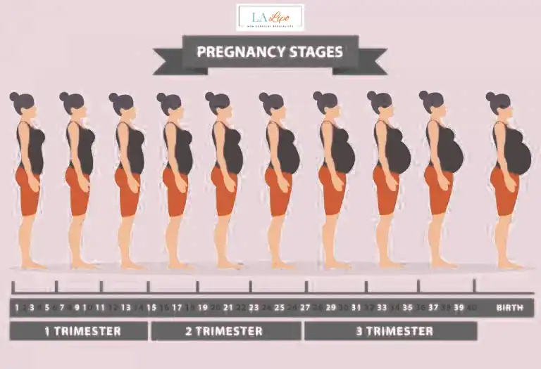 First Trimester (Weeks 1–12): Early Changes You Might Not Notice Wokingham